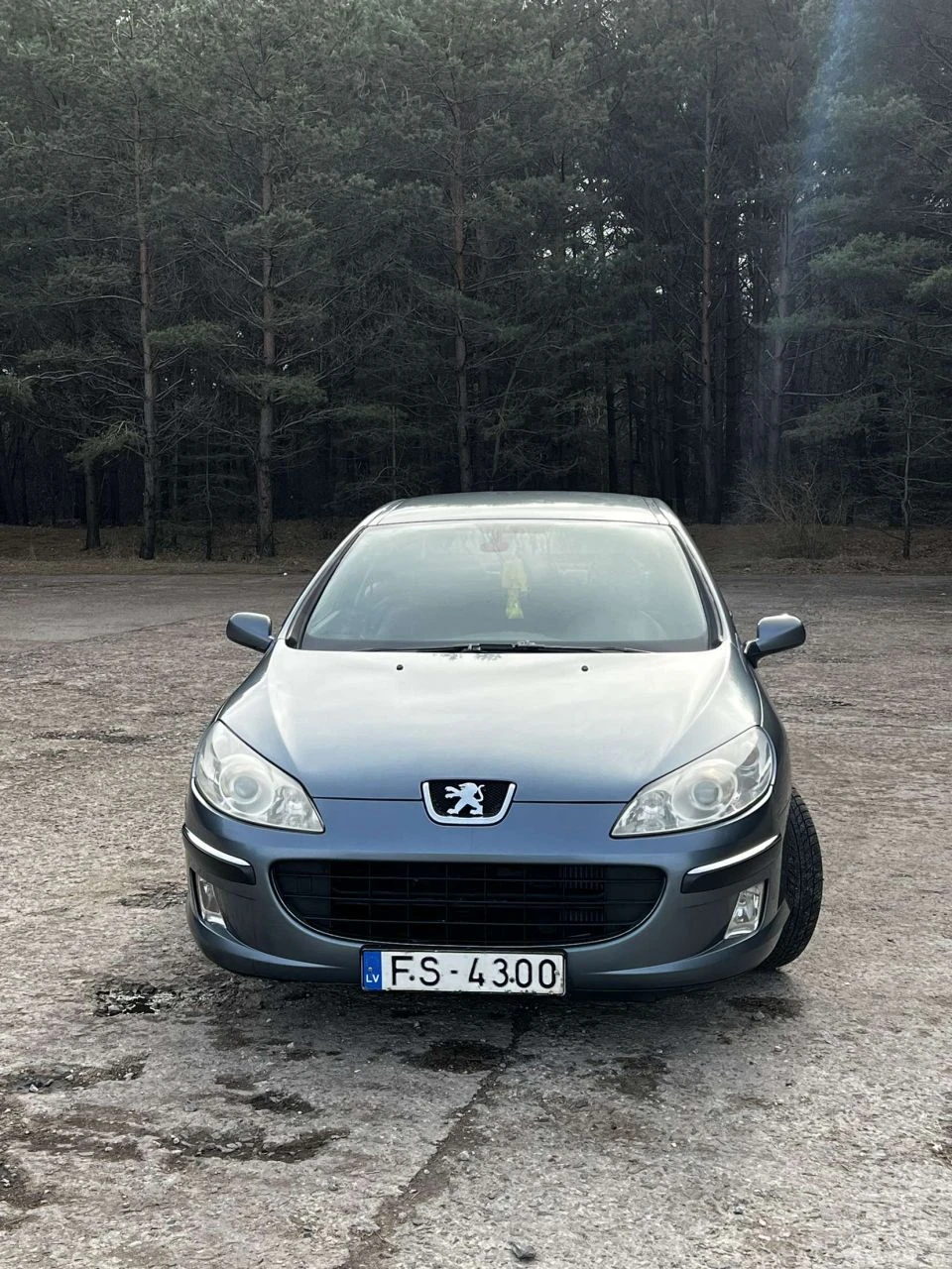 Peugeot 407