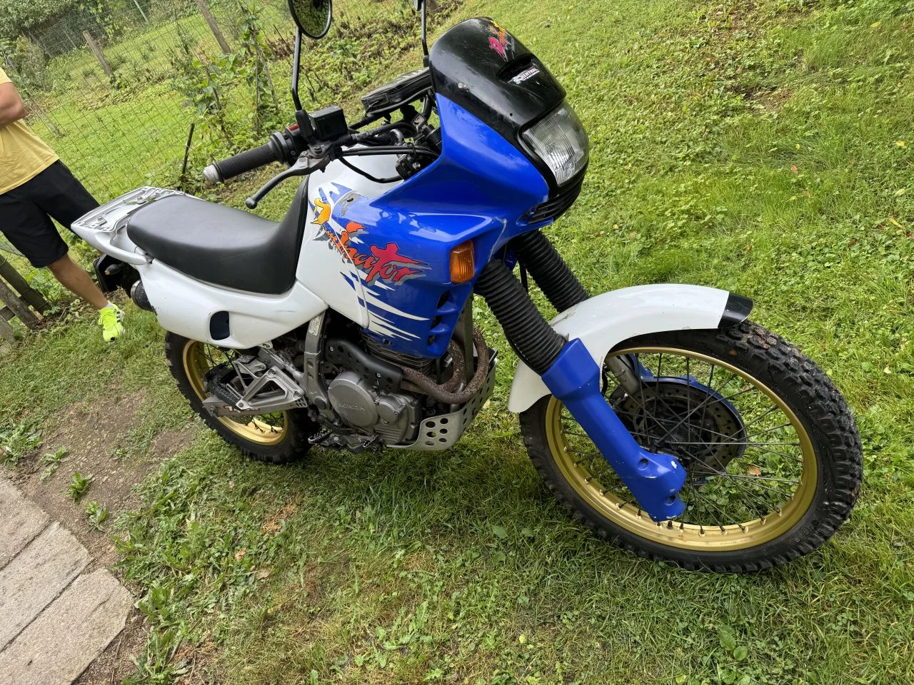 Honda Dominator