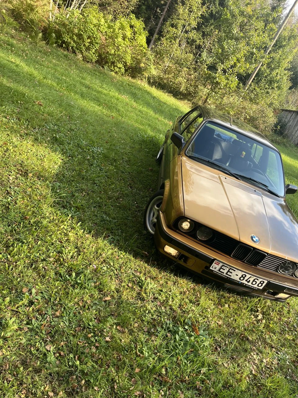 BMW 318
