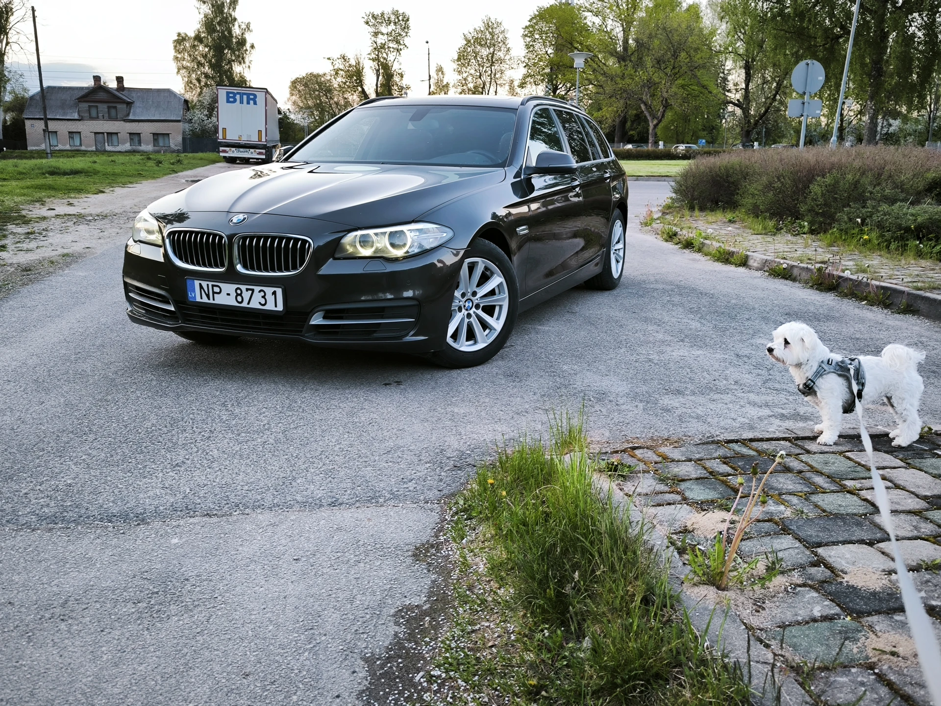 BMW 520