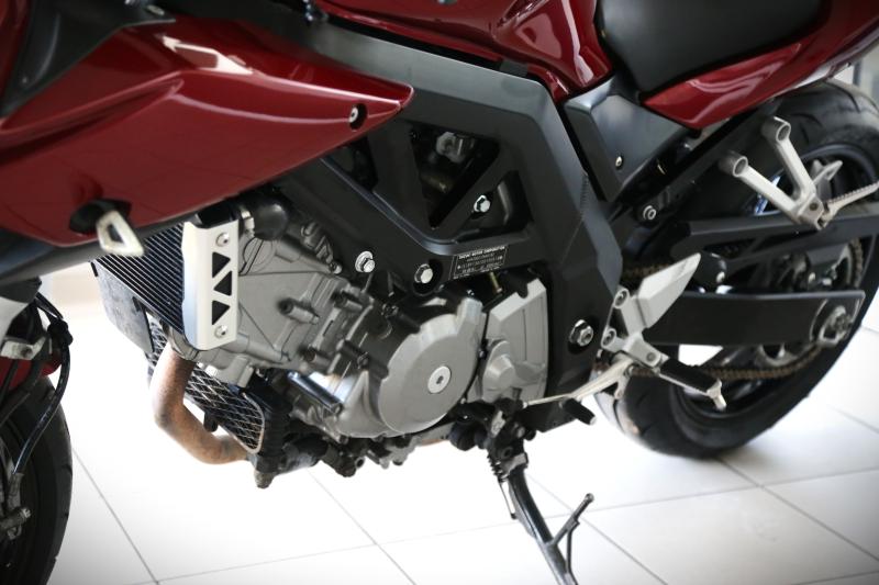 Suzuki - SV - pic2